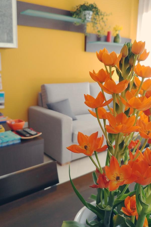 Bed & Breakfast Tiziana Castellammare del Golfo Luaran gambar